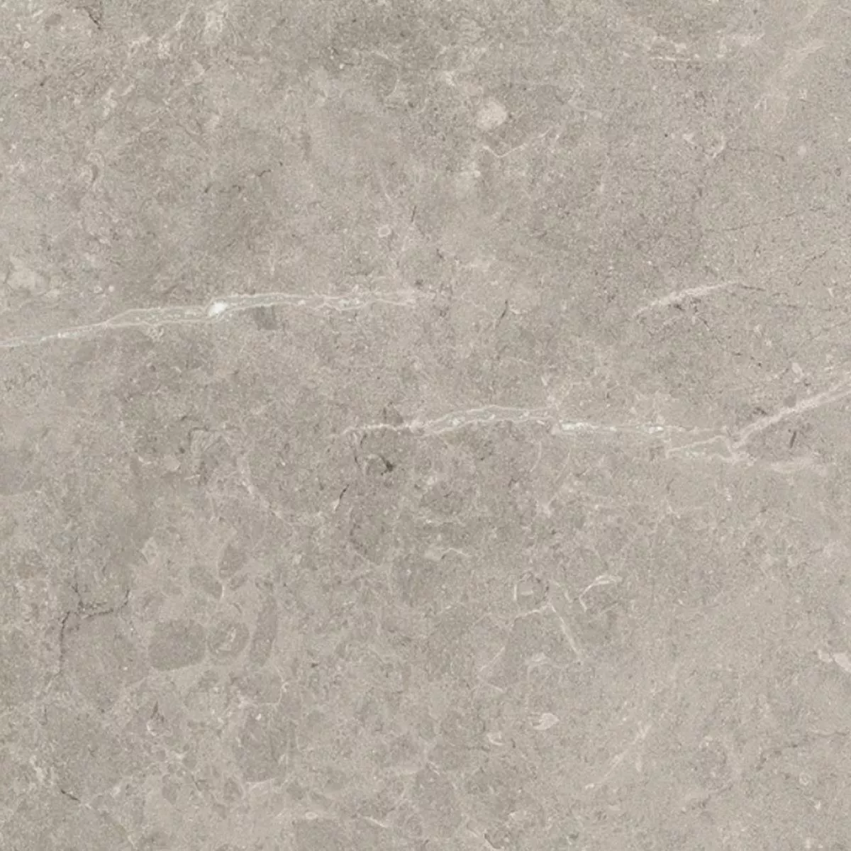 Terrassenplatten Feinsteinzeug Arizona 60x60x2 cm