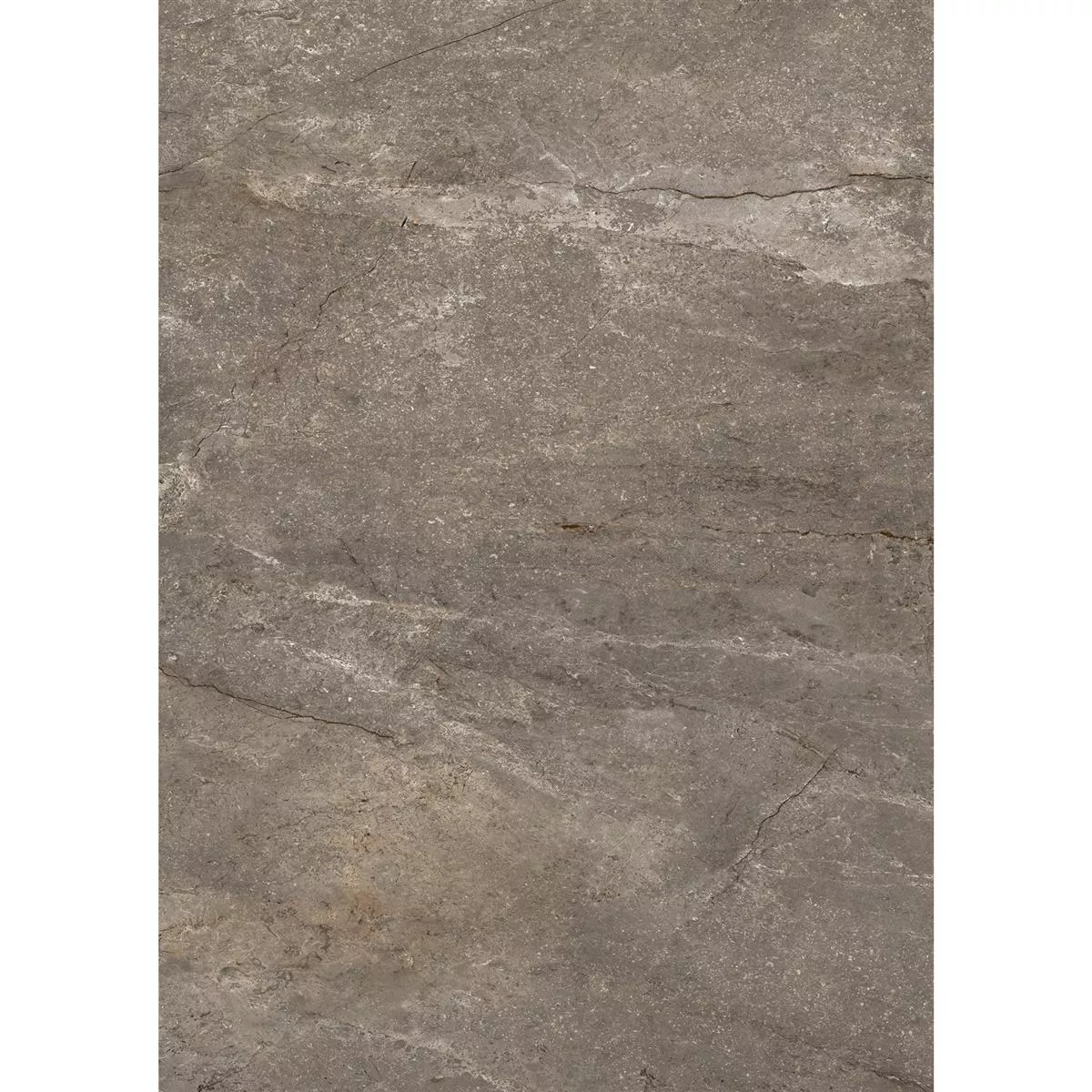 Bodenfliesen Pangea Marmoroptik Matt Mokka 60x120cm