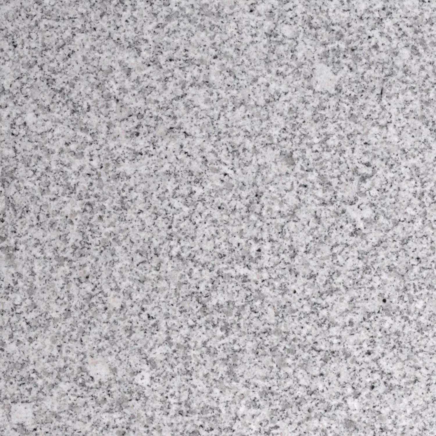 Natursteinfliesen Granit China Grey Poliert 30,5x30,5cm