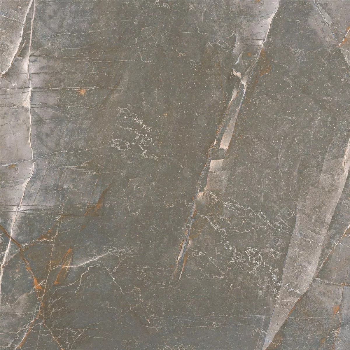 Muster Bodenfliesen Novinger Natursteinoptik Poliert Grau