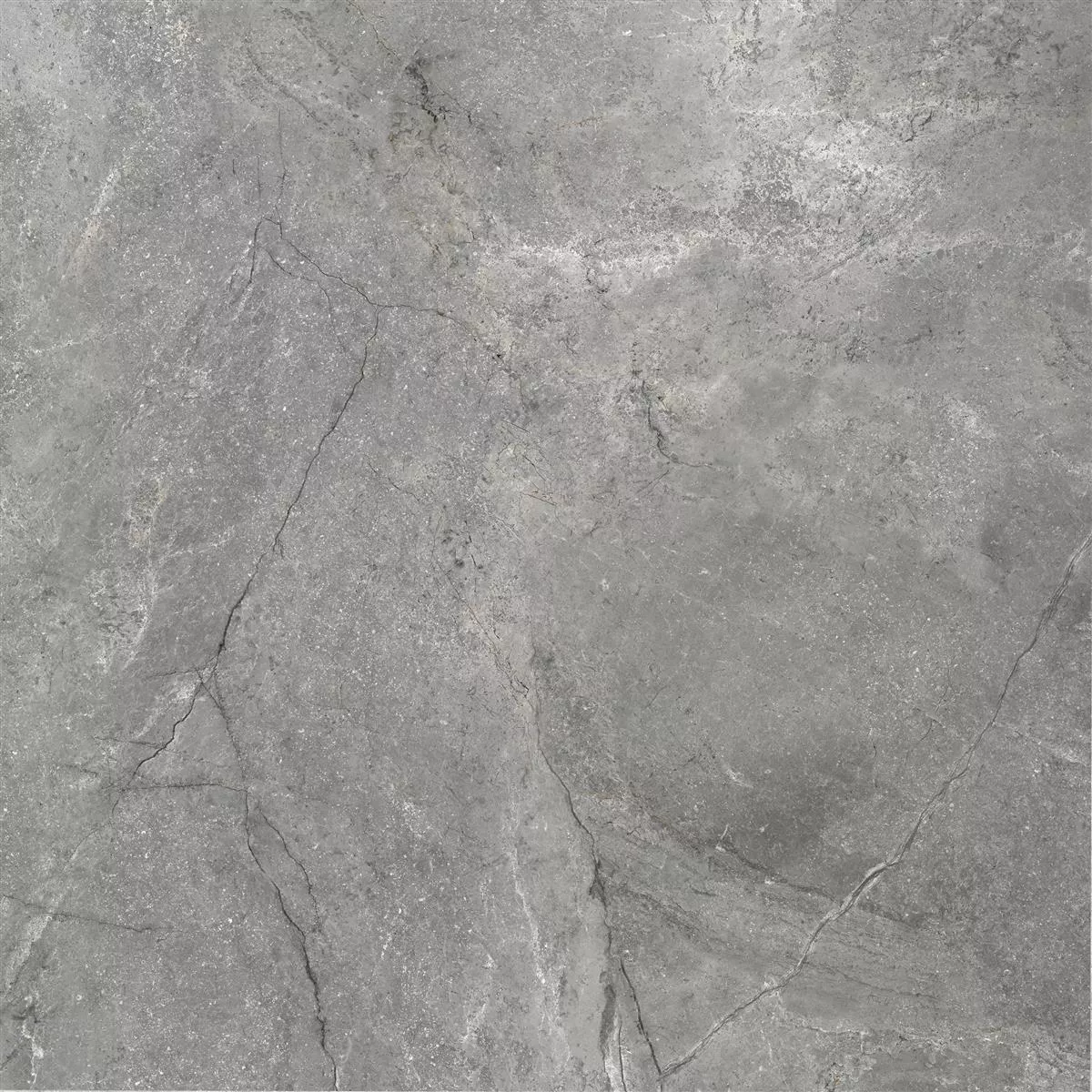 Bodenfliesen Pangea Marmoroptik Poliert Grau 60x60cm