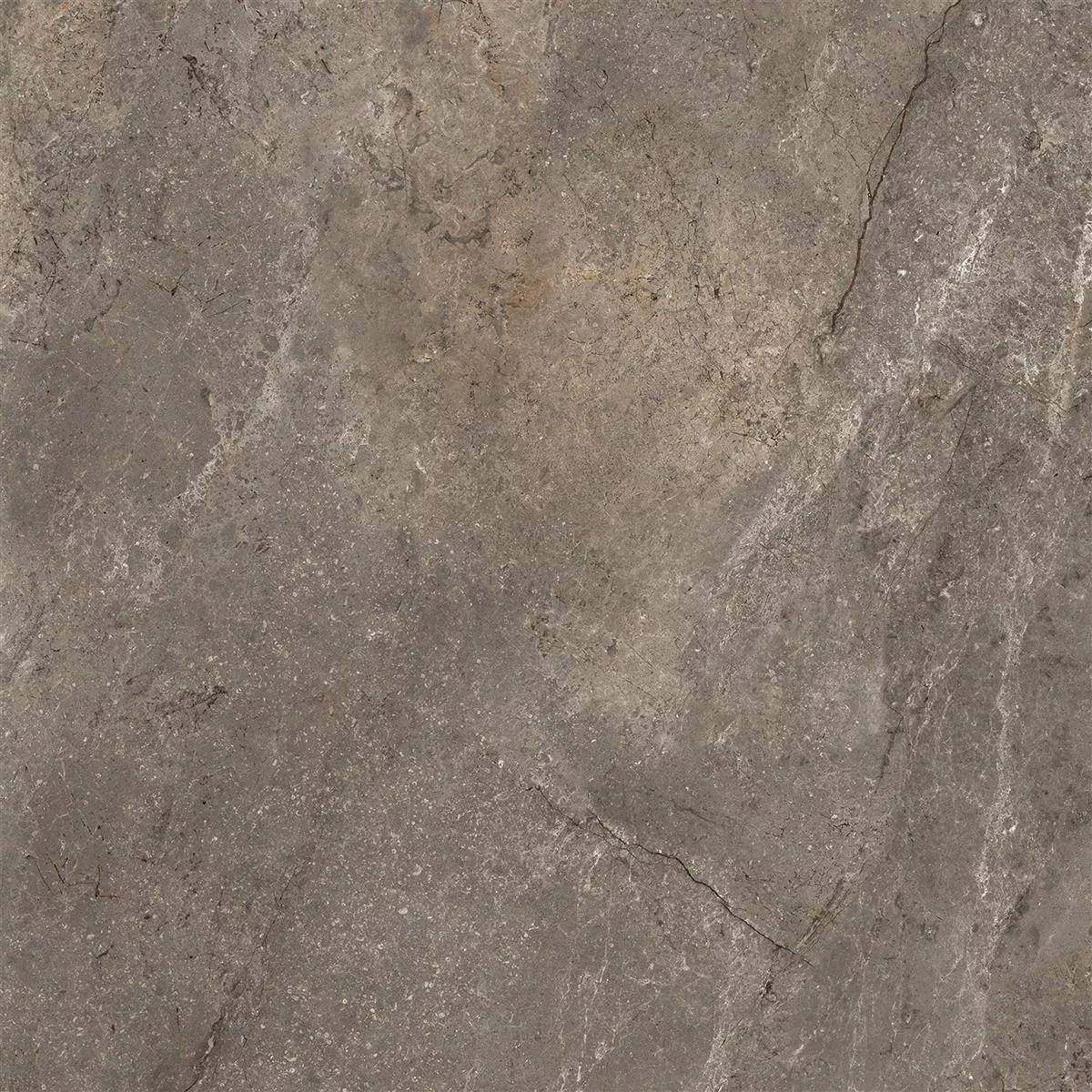 Bodenfliesen Pangea Marmoroptik Poliert Mokka 120x120cm