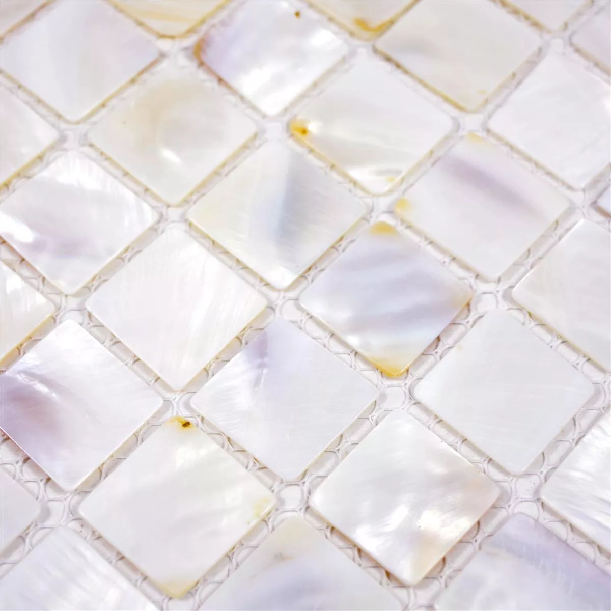 Muster von Mosaikfliesen Perlmutt Xenia Weiß