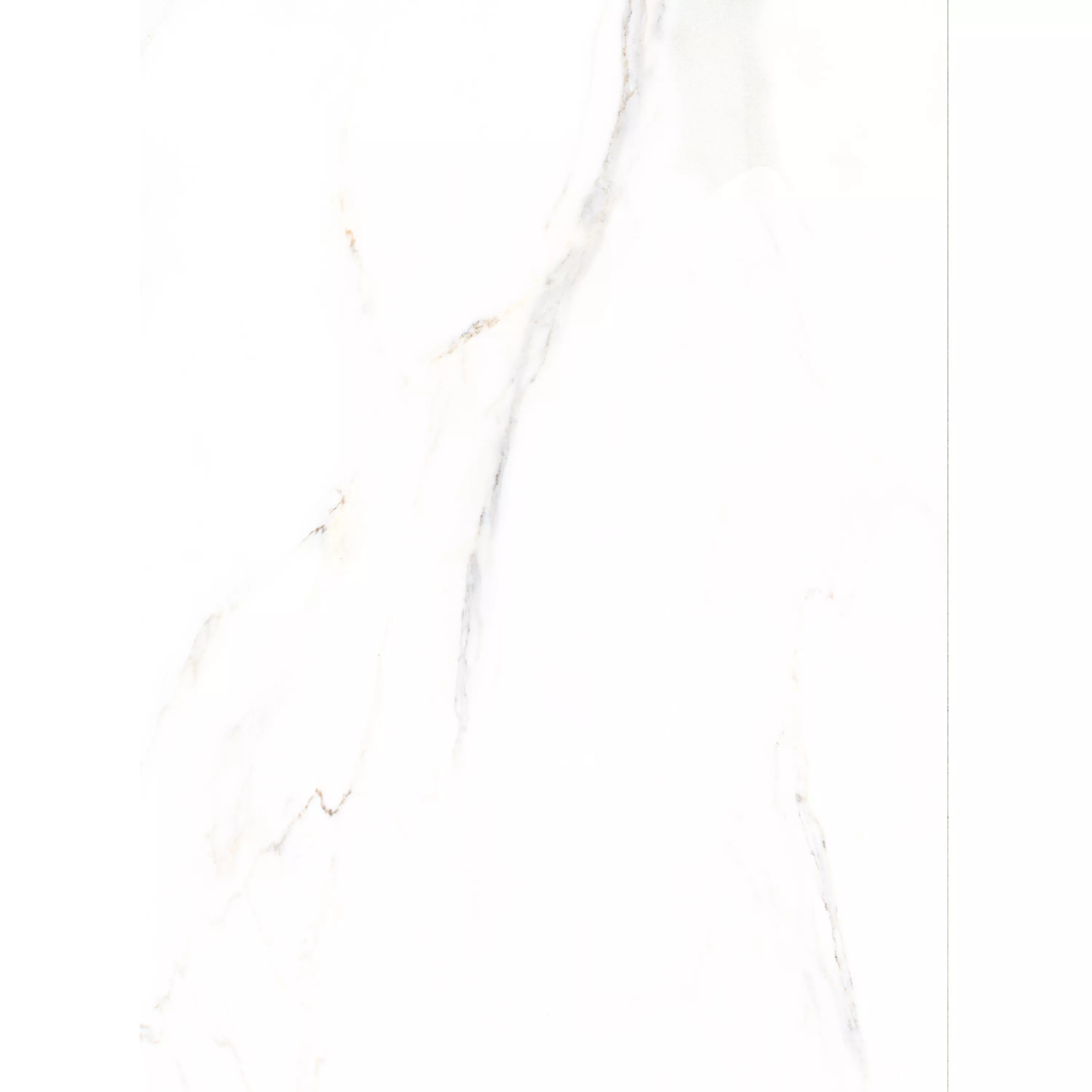 Bodenfliesen Rice Marmoroptik Calacatta Poliert 58x118cm