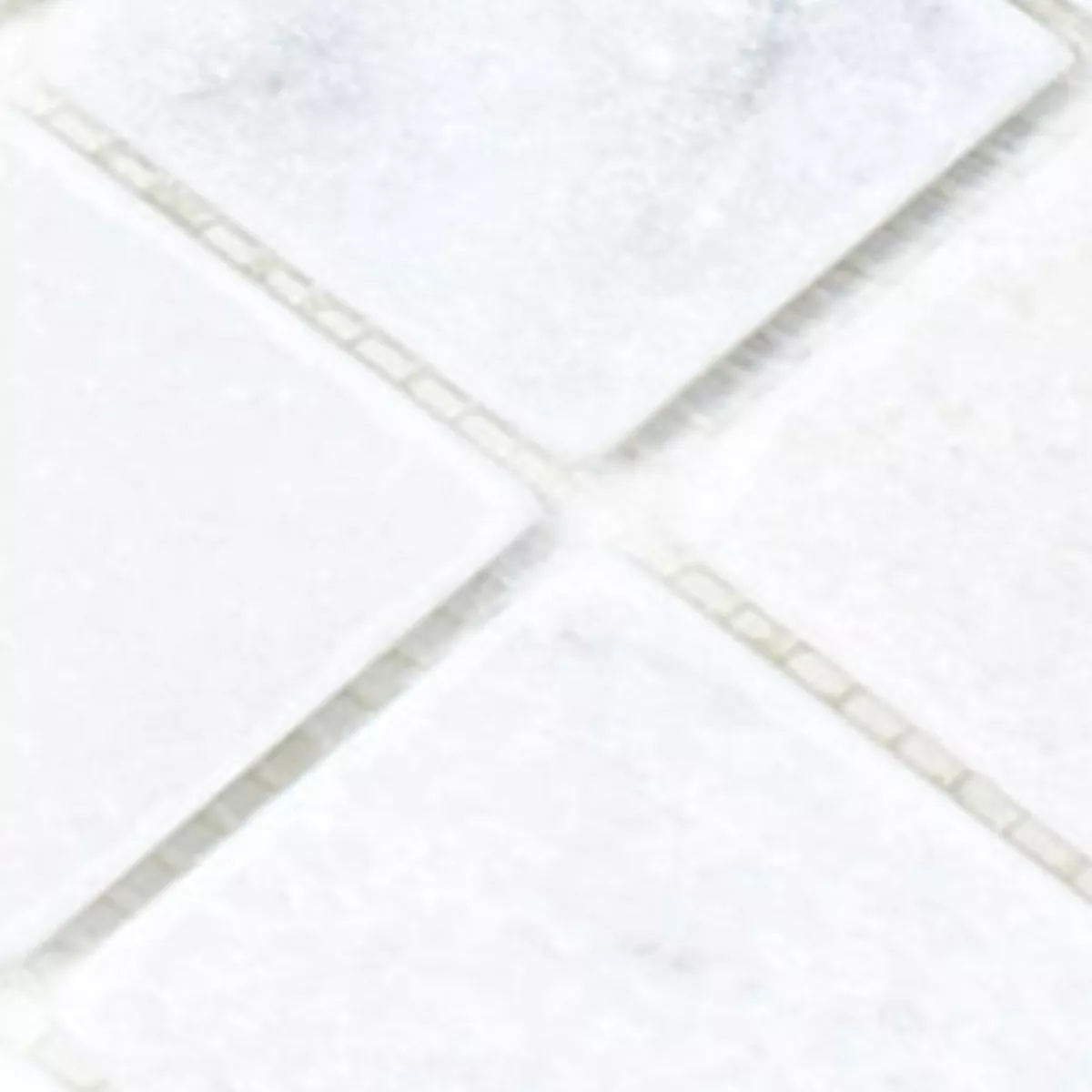 Muster von Mosaikfliesen Marmor Treviso Weiss 48