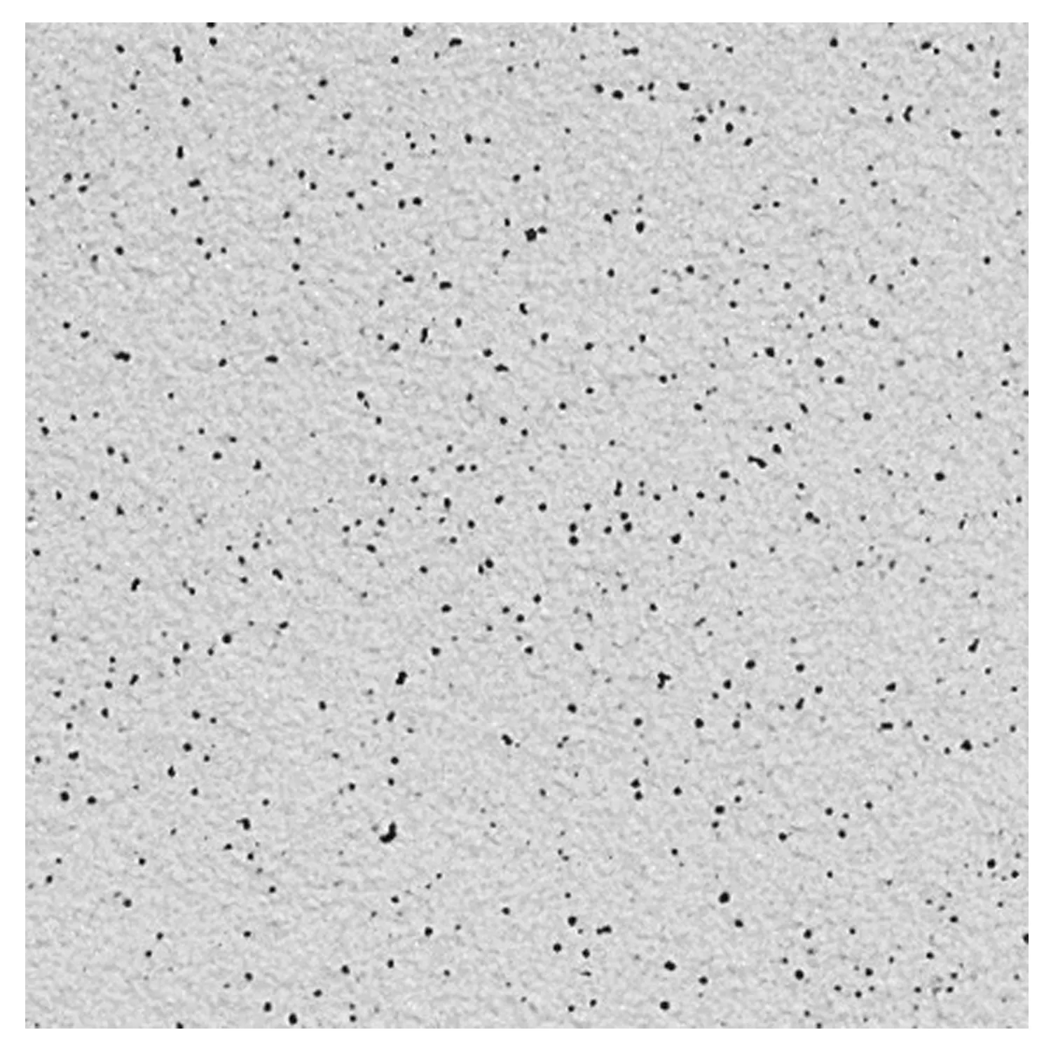 Muster Bodenfliese Feinkorn R11/B Grau 20x20cm