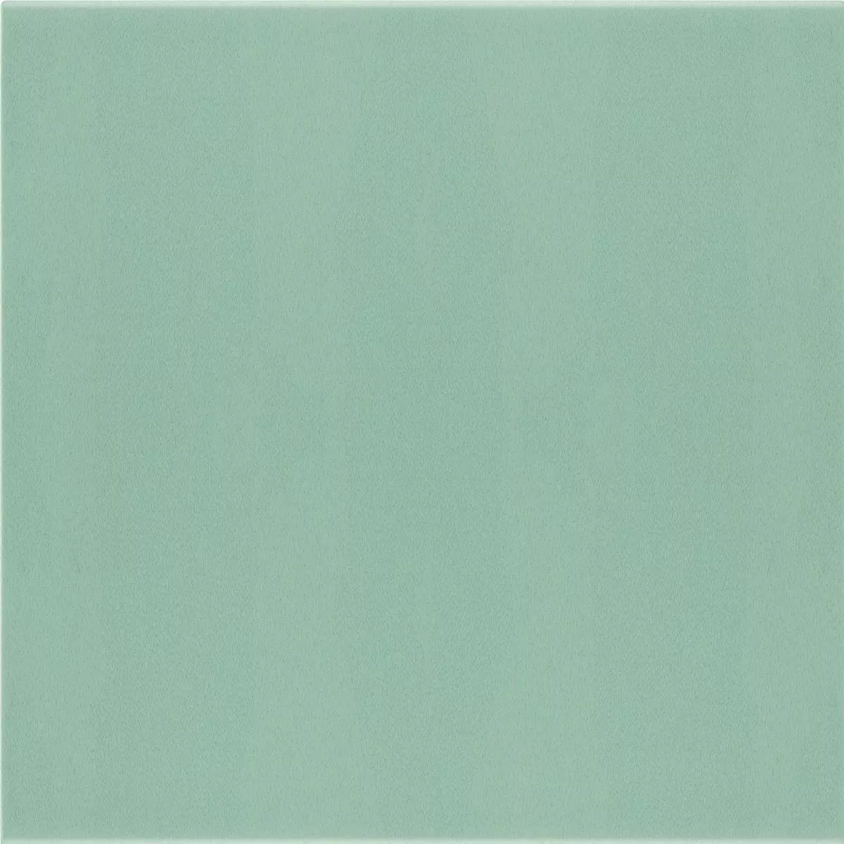 Wandfliesen Belluno Pastell Grün 12,4x12,4cm Wandfliesen Belluno Pastell Grün 12,4x12,4cm