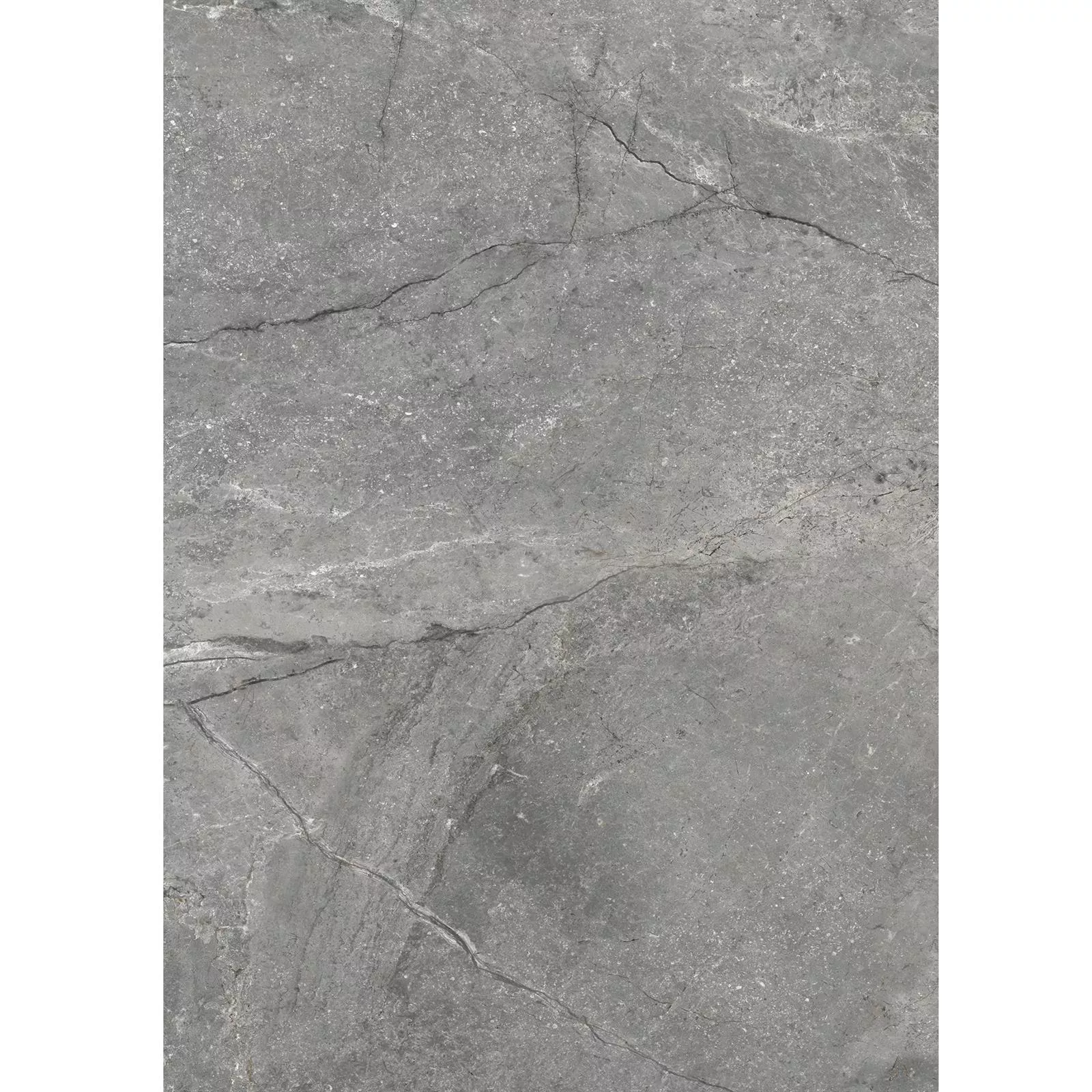 Bodenfliese Noiron Poliert Grau 60x120cm