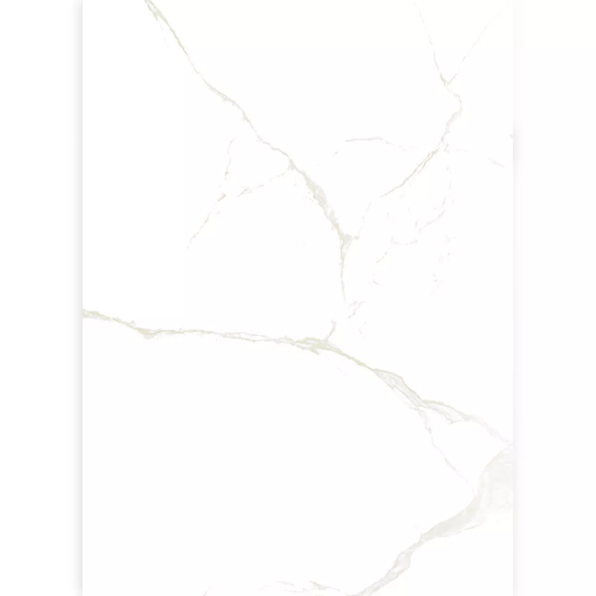 Bodenfliesen Ampezzo Calacatta Marmoroptik Weiß Beige Poliert Glänzend 60x120cm