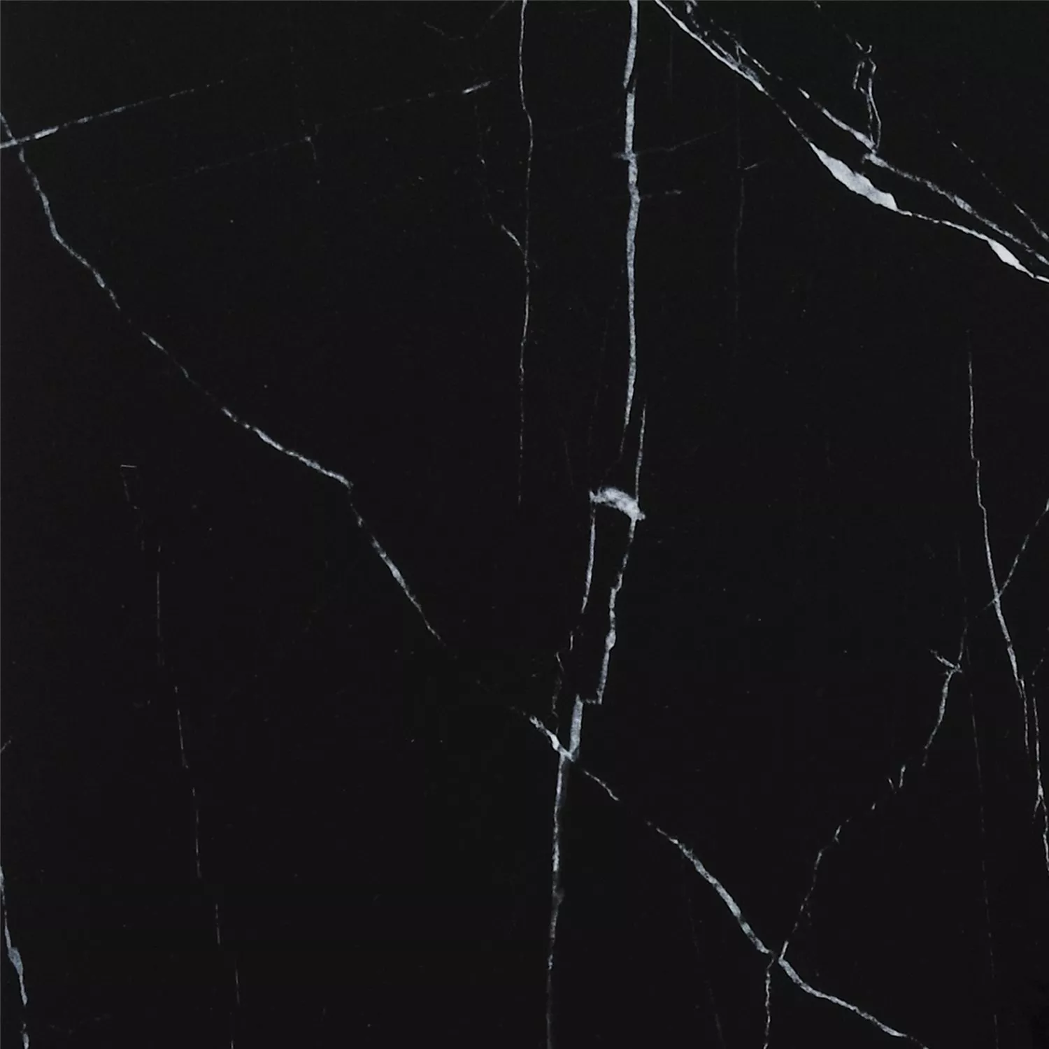 Natursteinfliesen Optik Discovery Poliert Nero 60x60cm Natursteinfliesen Optik Discovery Poliert Nero 60x60cm