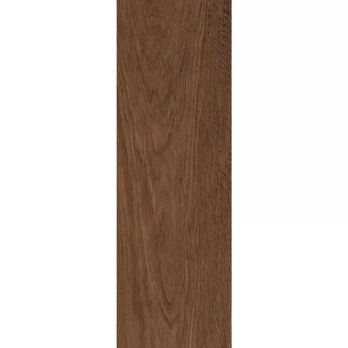 Maple