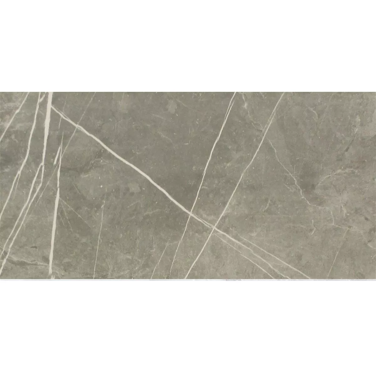 Muster Bodenfliesen Astara Natursteinoptik Poliert Grey 30x60cm