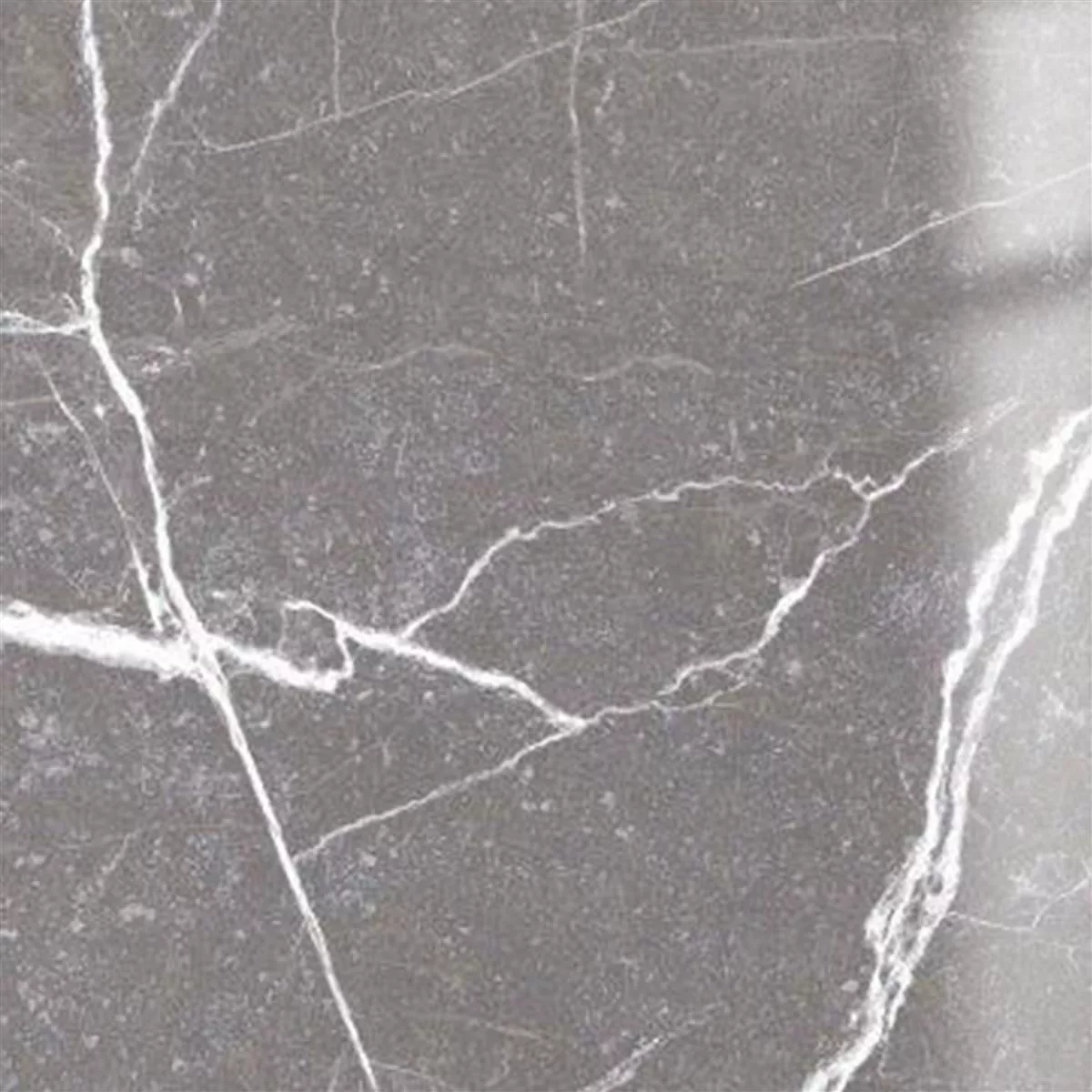 Bodenfliesen Santana Marmoroptik Poliert Grau 60x60cm