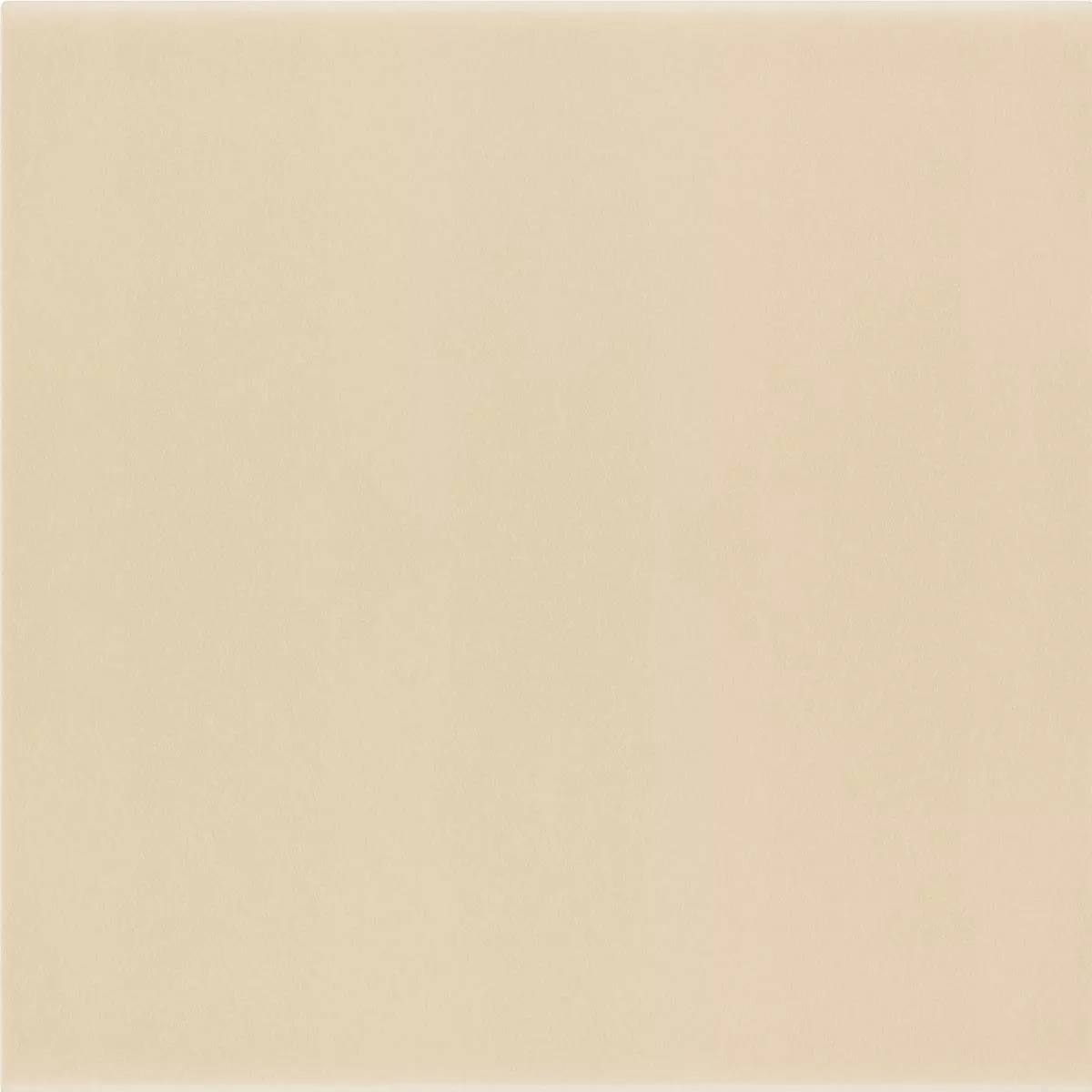 Wandfliesen Belluno Pastell Beige 12,4x12,4cm Wandfliesen Belluno Pastell Beige 12,4x12,4cm