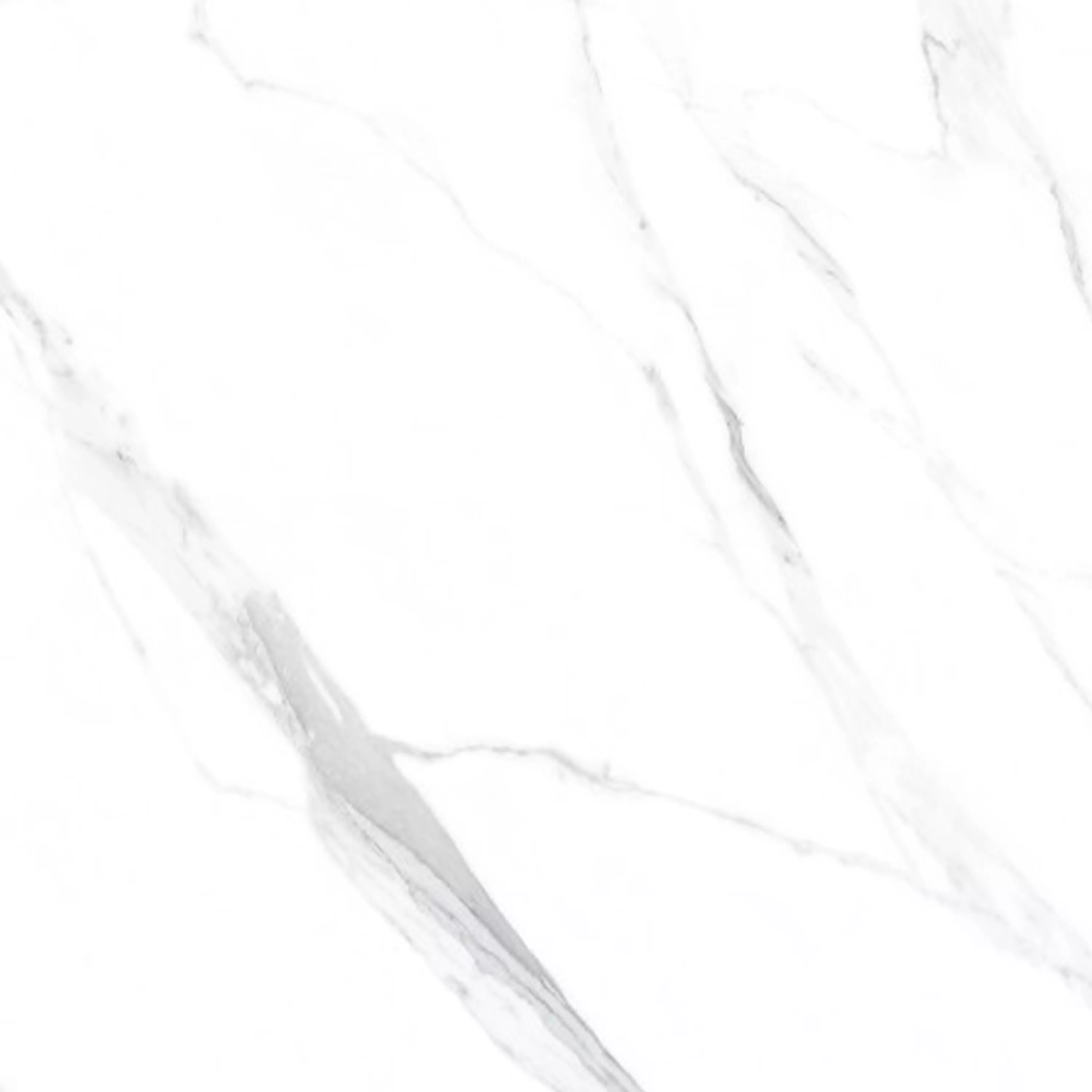 Muster von Bodenfliesen Serenity Marmoroptik Poliert Weiß 60x60cm