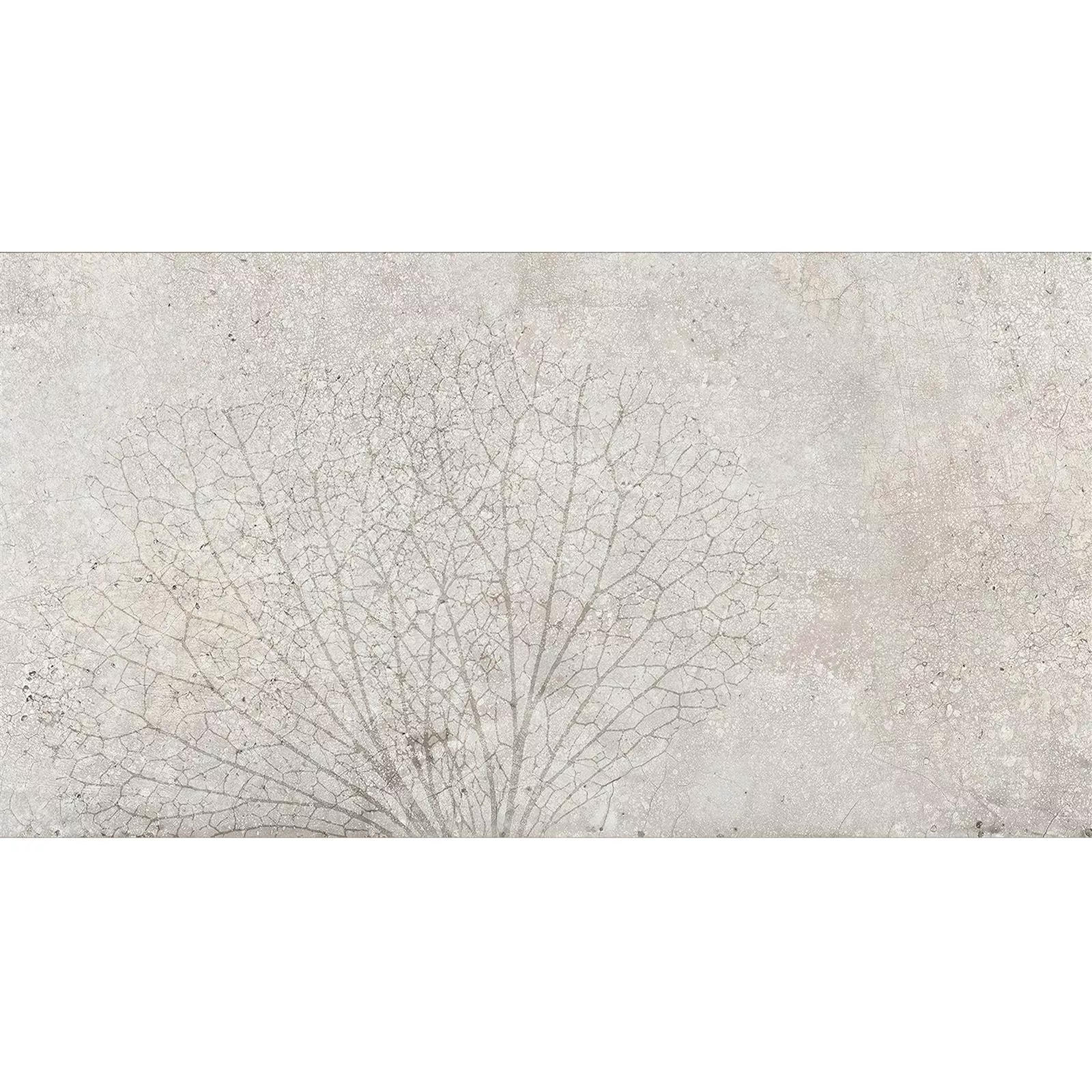 Wandfliesen Attila Grau Rektifiziert Dekor 1 30x60cm Wandfliesen Attila Grau Rektifiziert Dekor 1 30x60cm