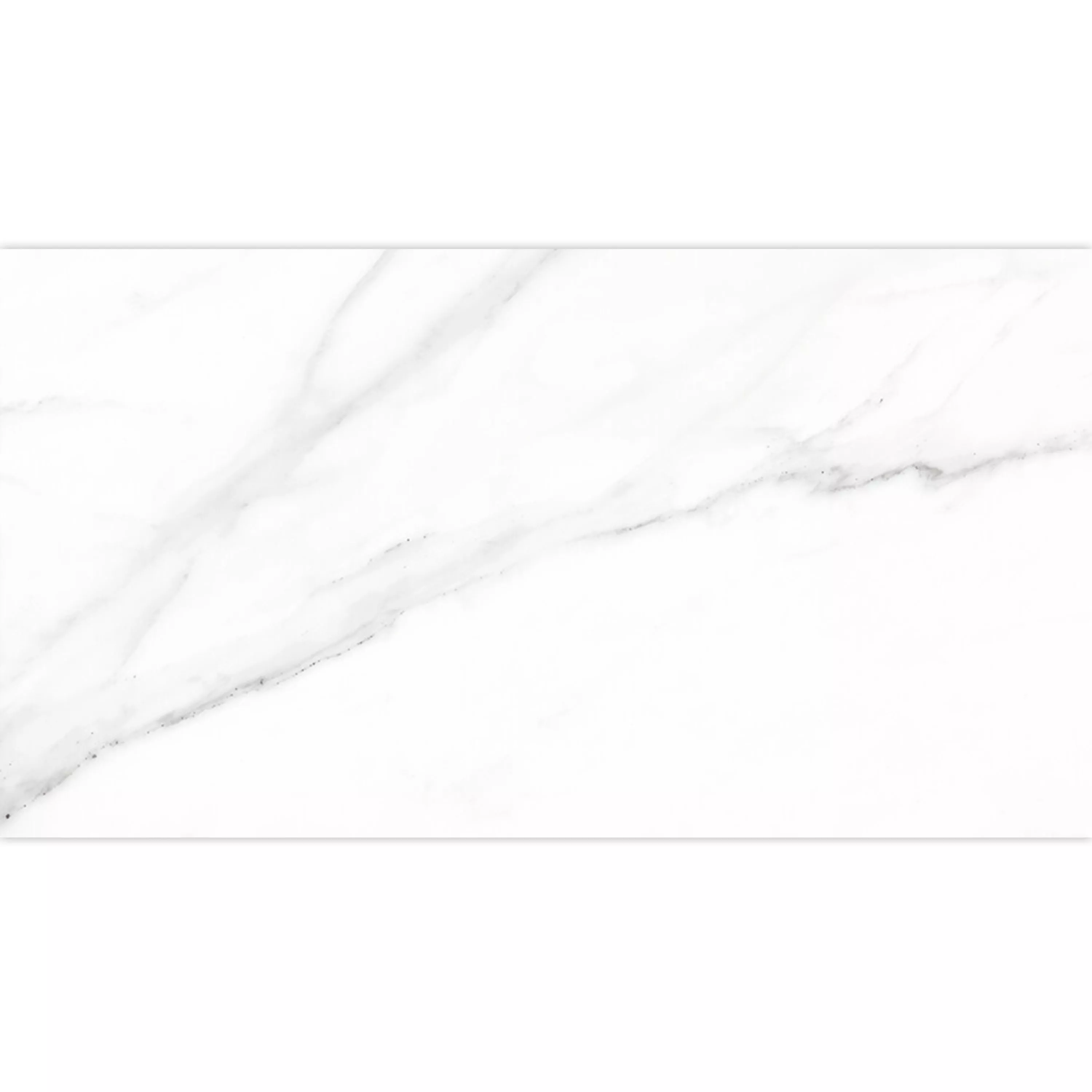 Bodenfliesen Arcadia Marmoroptik Poliert Weiß 30x60cm