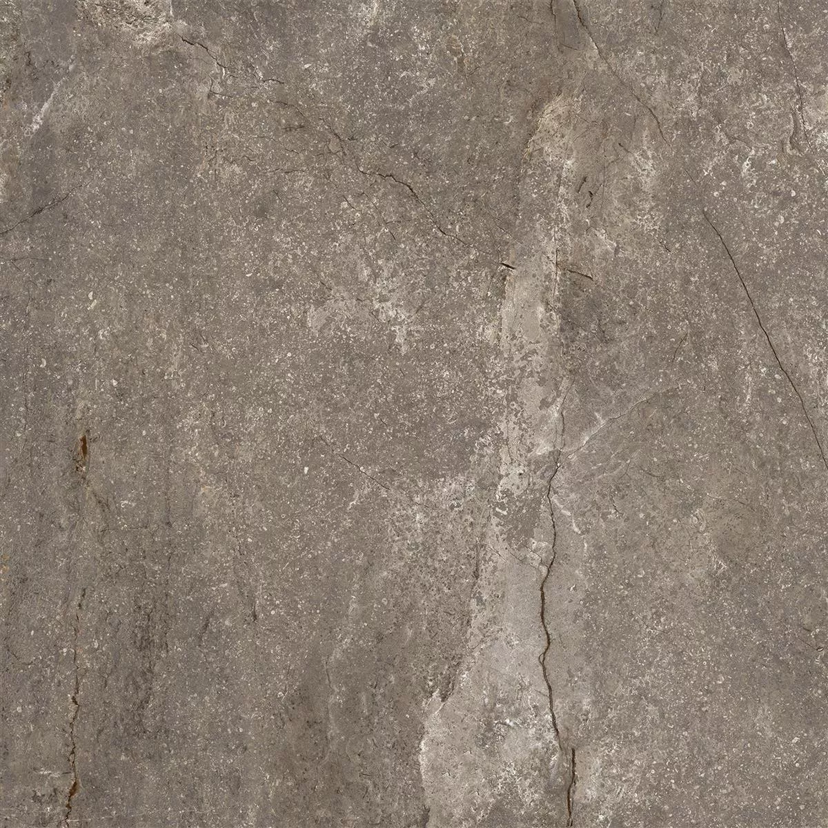 Bodenfliesen Pangea Marmoroptik Matt Mokka 120x120cm