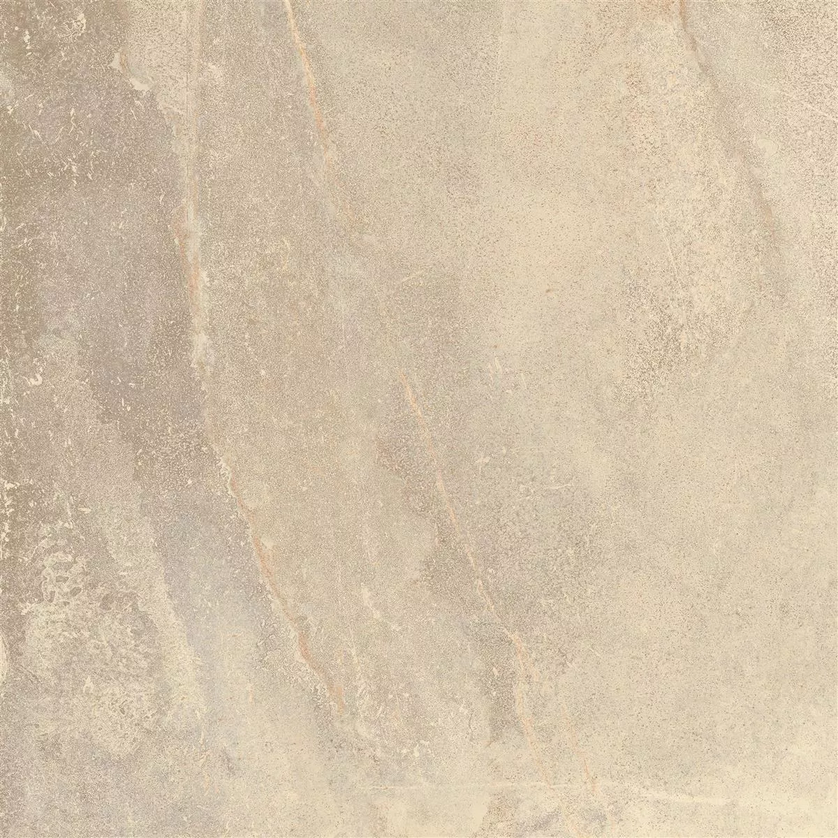 Muster von Terrassenplatten Feinsteinzeug Hammond Beige 60x60x2 cm